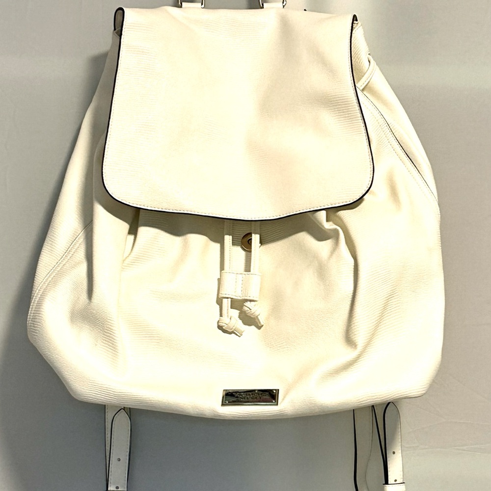 VS  Pink Backpack